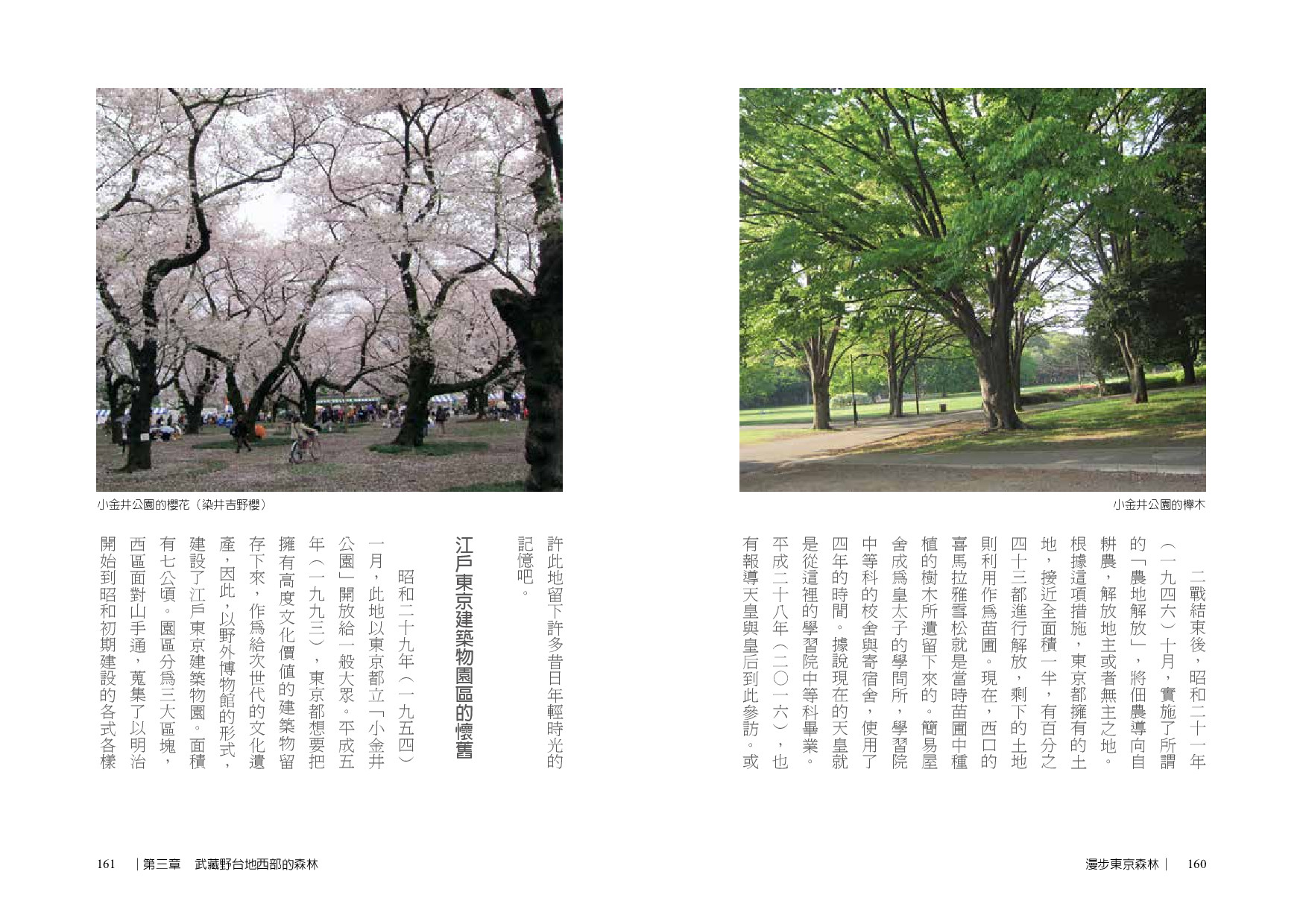 漫步東京森林 九歌文學誌
