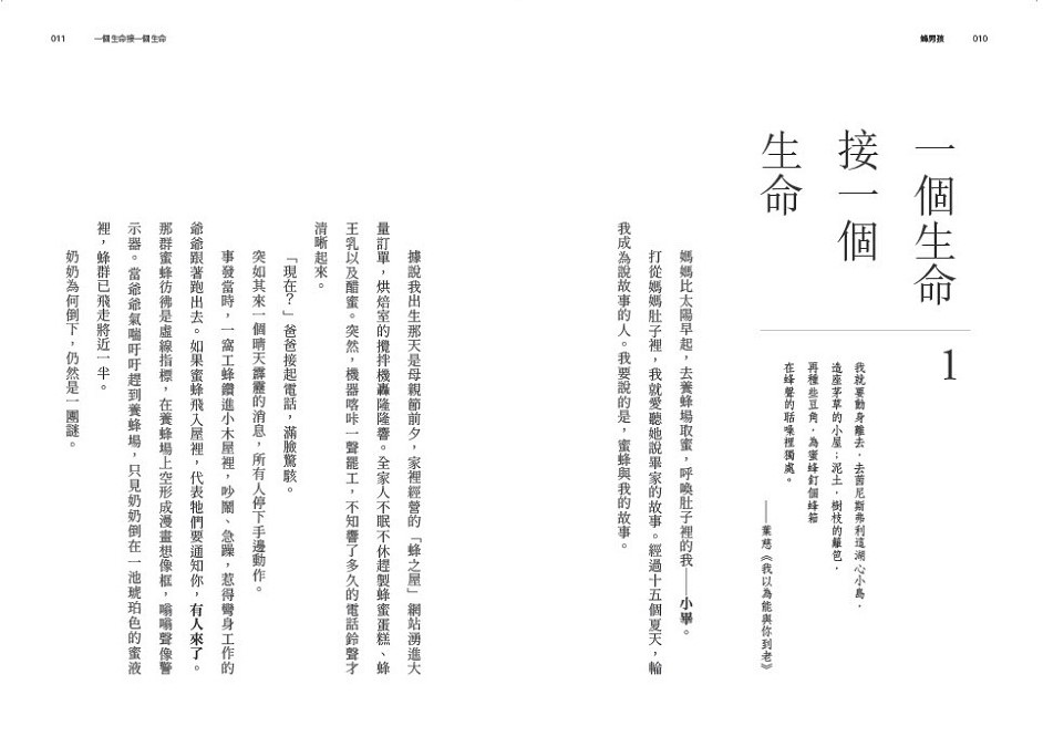 九歌少兒書房第73集：遠村鳥事多、蜂男孩| 九歌文學誌