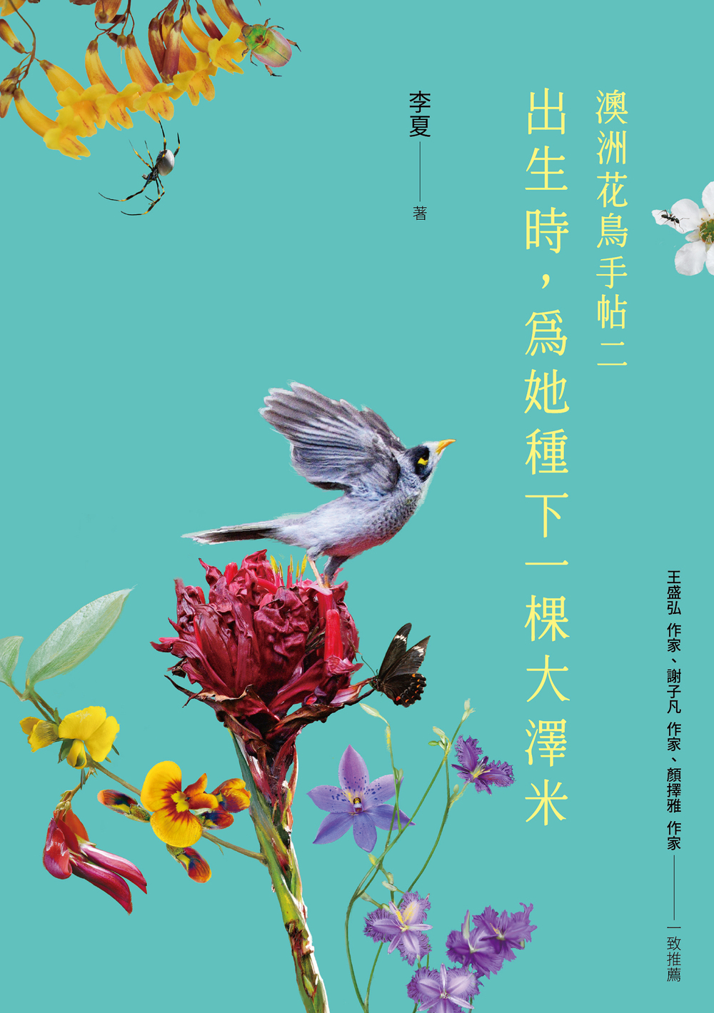 Cs5 0417 出生時，為她種下一棵大澤米(健行) 全封