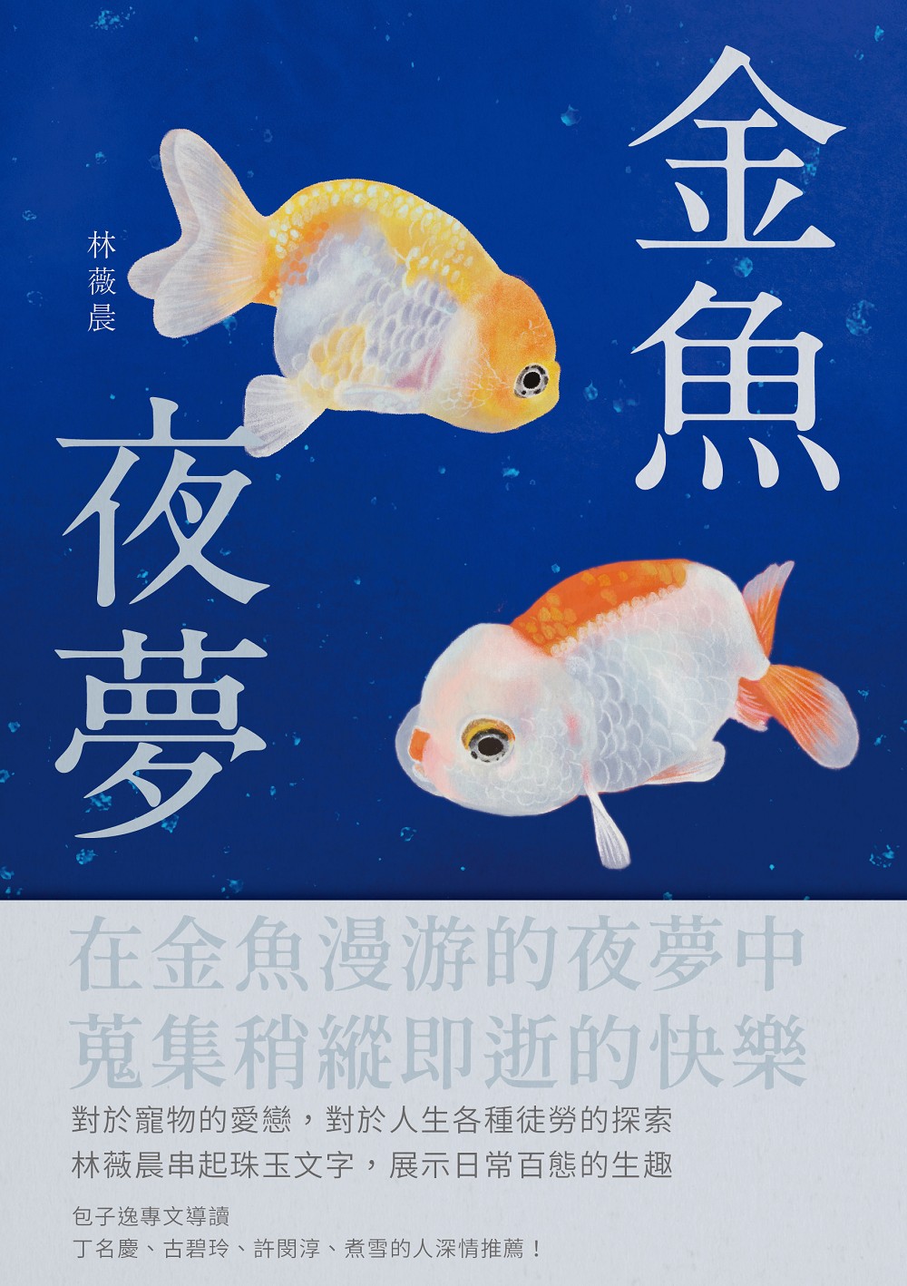 88%OFF!】 金魚