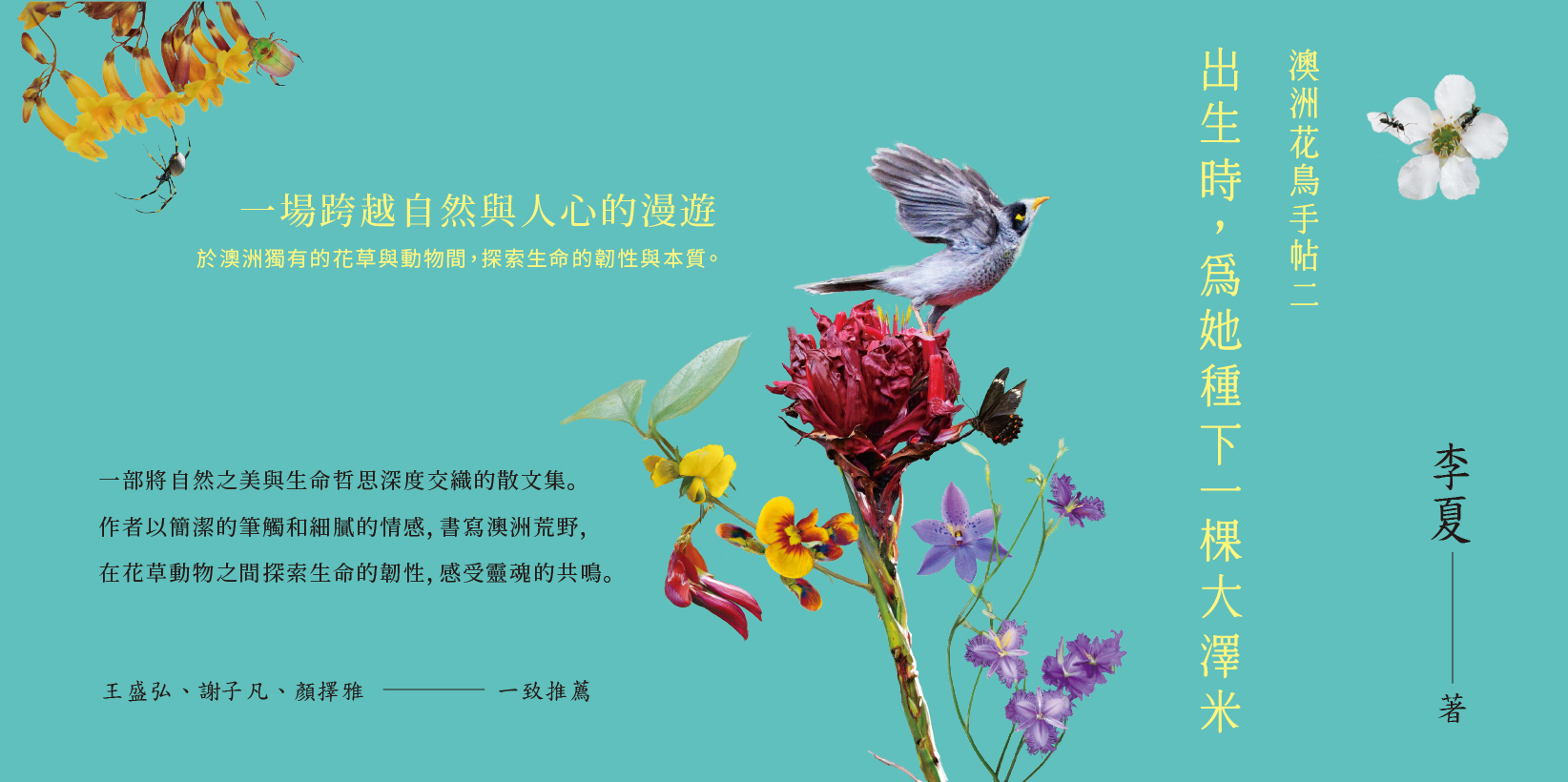 Web 1644x820 3 出生時為她種下一棵大澤米