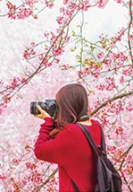 Writer 8294